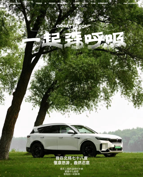 以夢為馬，與嵐自由前行